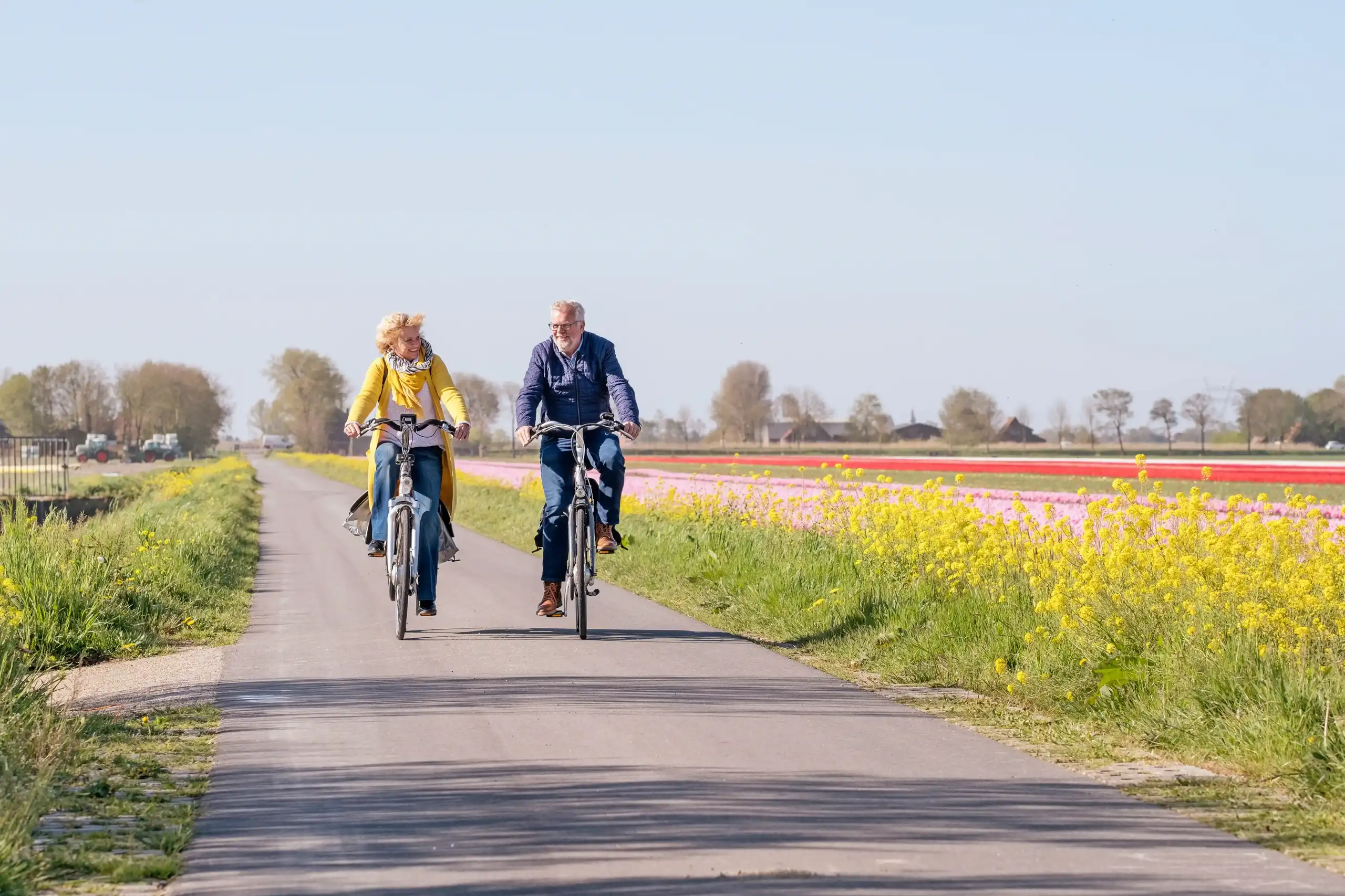 Man en vrouw op de fiets met tulpenvelden rechts van de weg